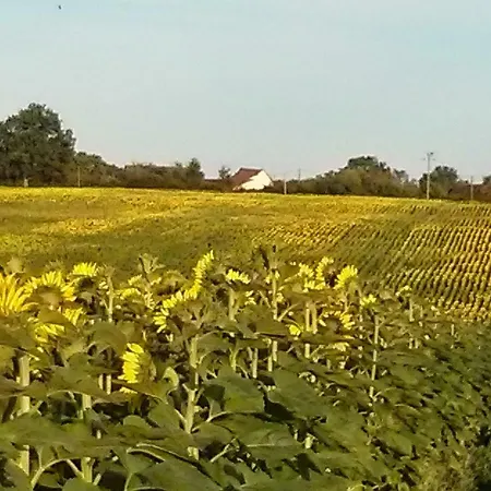 Bauvais Nocleg ze śniadaniem